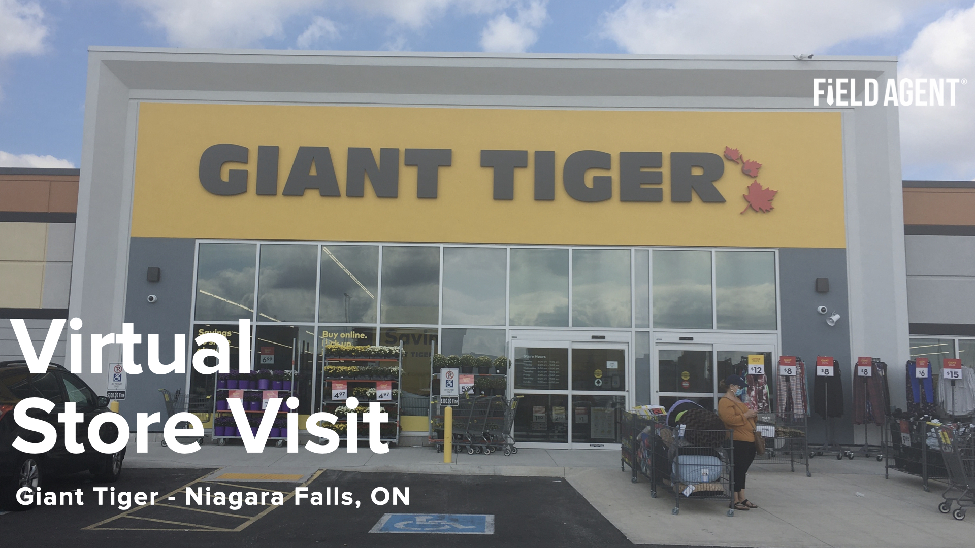 Virtual Store Tour Giant Tiger Montrose